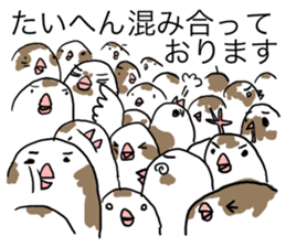 A Mass of Bengalese Finches sticker #8009839