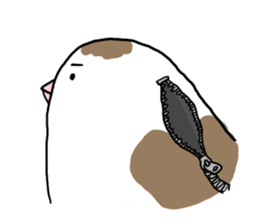 A Mass of Bengalese Finches sticker #8009841