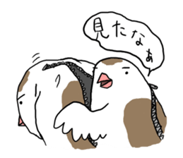 A Mass of Bengalese Finches sticker #8009843