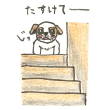 Seeds dog Van1 sticker #8011264