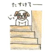 Seeds dog Van1 sticker #8011264