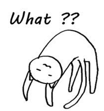 The simple cat ver.English sticker #8014128