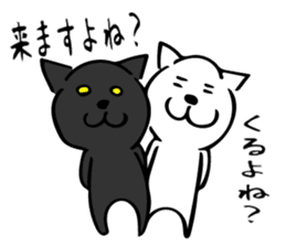 W cat & B cat sticker #8014368