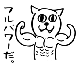 W cat & B cat sticker #8014381