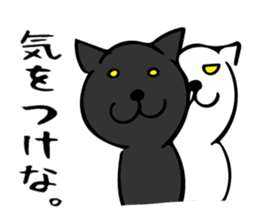 W cat & B cat sticker #8014383