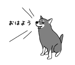 Japanese Shiba Inu ! the japanese dog ! sticker #8015939