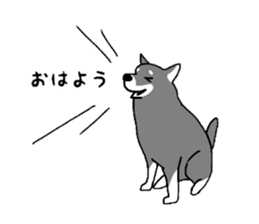 Japanese Shiba Inu ! the japanese dog ! sticker #8015939
