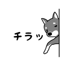 Japanese Shiba Inu ! the japanese dog ! sticker #8015941