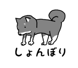 Japanese Shiba Inu ! the japanese dog ! sticker #8015949