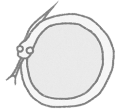 Anokochan (face) sticker #8017760