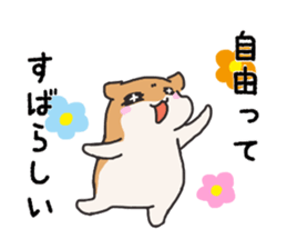 Life of hamster sticker #8021421