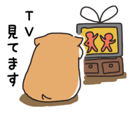 Life of hamster sticker #8021432