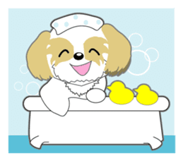 Shih Tzu of Kansai dialect sticker #8022815