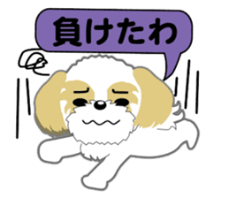 Shih Tzu of Kansai dialect sticker #8022819