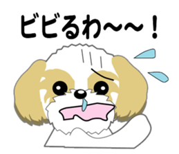 Shih Tzu of Kansai dialect sticker #8022831