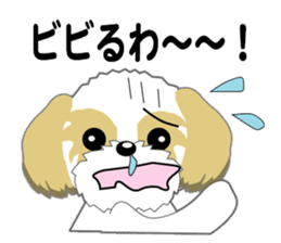 Shih Tzu of Kansai dialect sticker #8022831