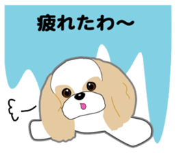 Shih Tzu of Kansai dialect sticker #8022836