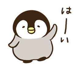 Affirmative emperor penguin. sticker #8024524