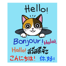 Chalie Calico cat sticker #8025205