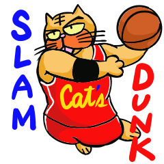 Do you like basketball?