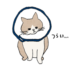 Pleasant rare animals 2 sticker #8026974