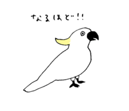 Pleasant rare animals 2 sticker #8026997