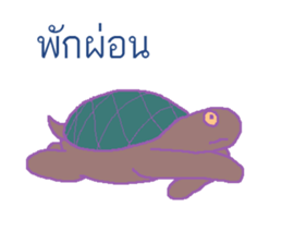 stubborn turtle sticker #8029172