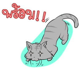 Life Of the stray cats sticker #8029553