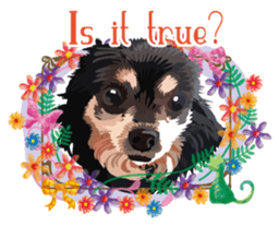 Dog Life 01 English version sticker #8031736