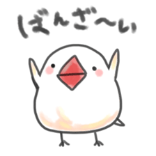 maruttyo bird sticker #8033606