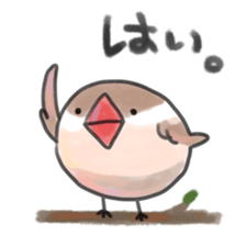 maruttyo bird sticker #8033608