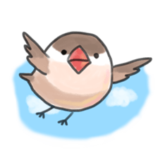maruttyo bird sticker #8033621