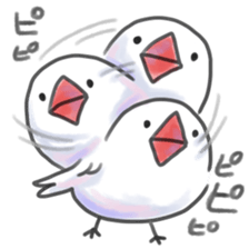 maruttyo bird sticker #8033625