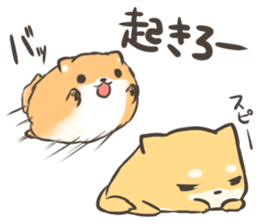 active Pomeranian sticker #8033754