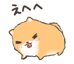 active Pomeranian sticker #8033775