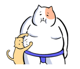 sumou cat sticker #8037721