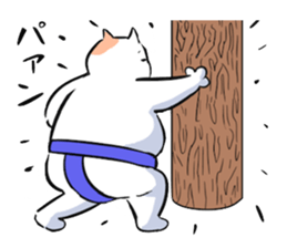 sumou cat sticker #8037752