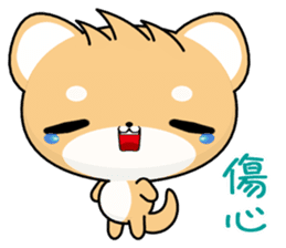 Shiba inu (Everyday Life) sticker #8038693