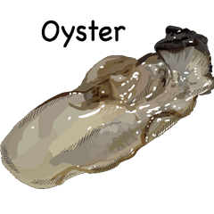 Oyster English version