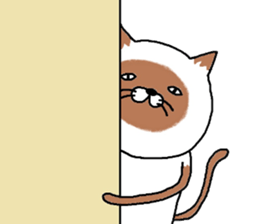 siam-neko sticker #8039081