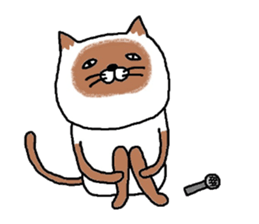 siam-neko sticker #8039101
