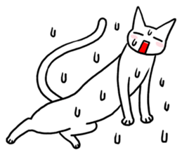 LONG CATs ! sticker #8039222