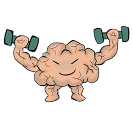 Human Body Organs sticker #8039358