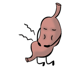 Human Body Organs sticker #8039380