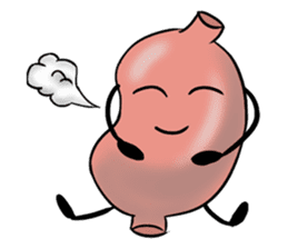 Human Body Organs sticker #8039382