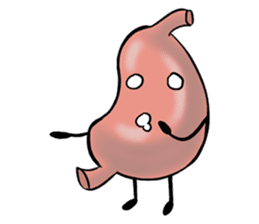 Human Body Organs sticker #8039383