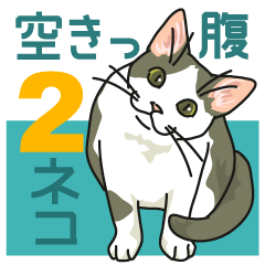 Cat on an empty stomach2