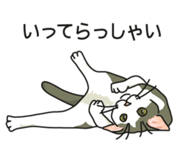 Cat on an empty stomach2 sticker #8040084