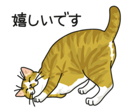 Cat on an empty stomach2 sticker #8040089