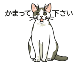 Cat on an empty stomach2 sticker #8040090